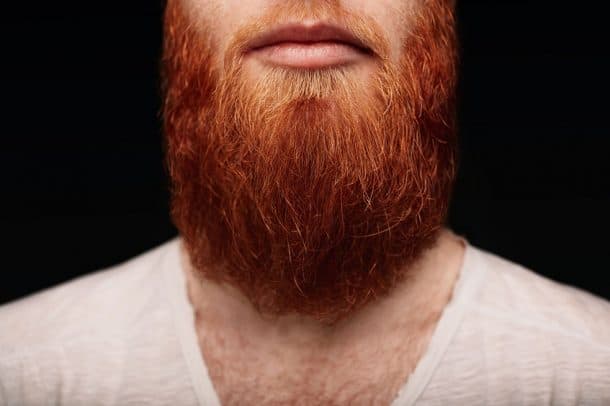 50 Ginger Beard Styles How To Style Myths And Facts Explained 