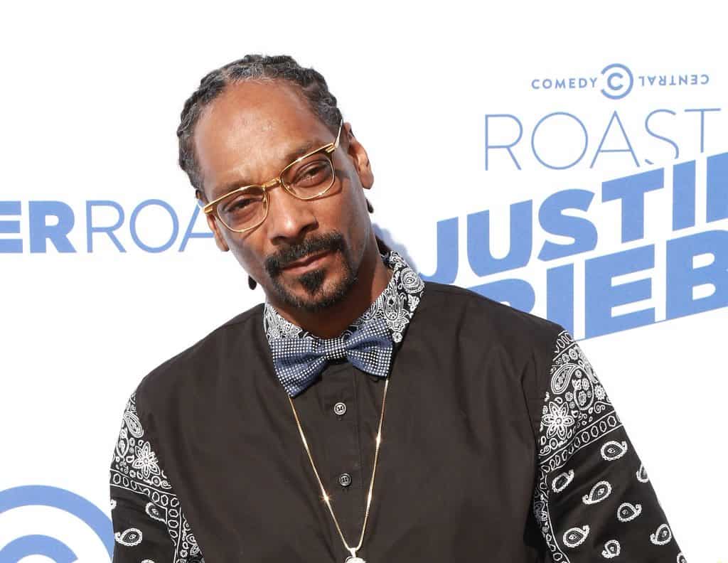 Small Peak Into Snoop Dogg's Rich Career, Appearance and Beard Style