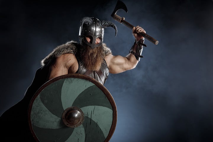 viking's beard