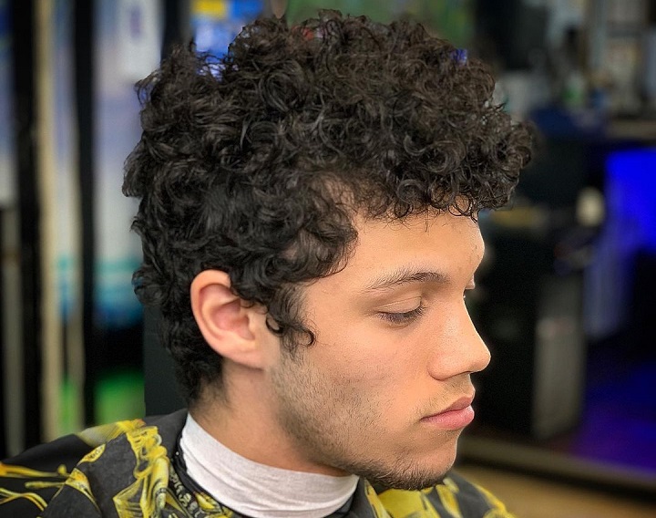 Curly Medium Hairstyle