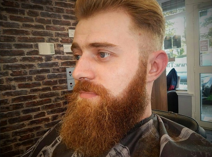 Ginger Bushy Beard Type