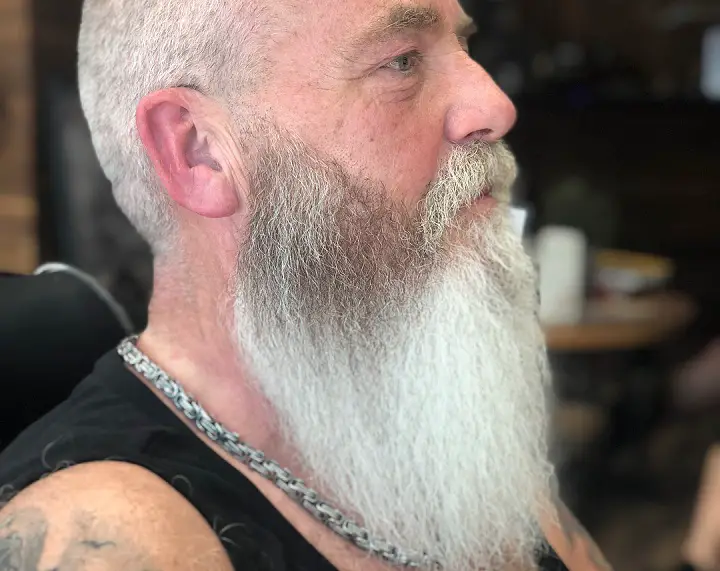 Natural White Long Beard