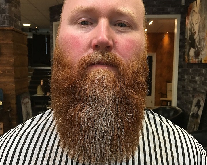 Ginger Tapered Beard