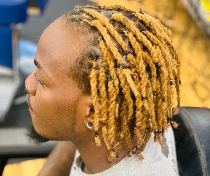 Bleached Long Twists2 strand twist for boys
braids twist male
two strand twist boys
