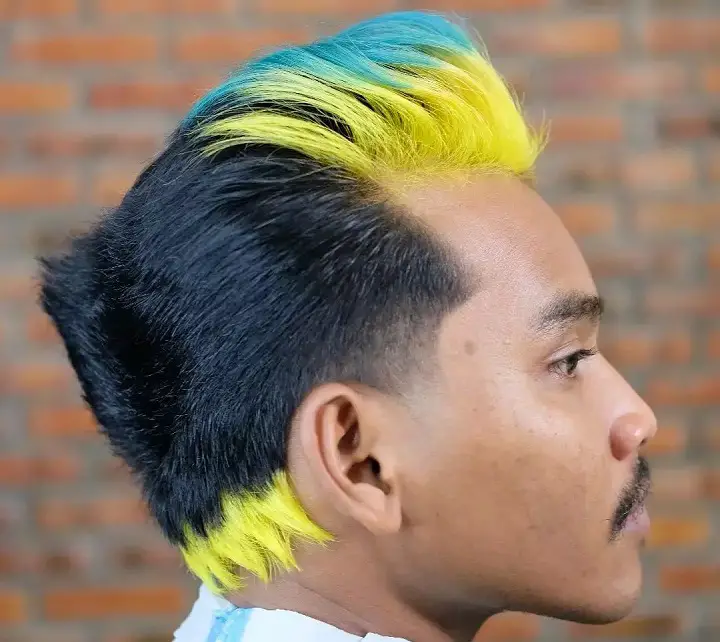 Two Colored Ducktail