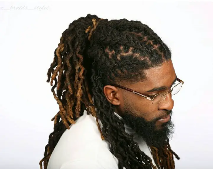 Dreaded Braidsbraid hairstyle for men
braids styles for men
male braids hairstyles
