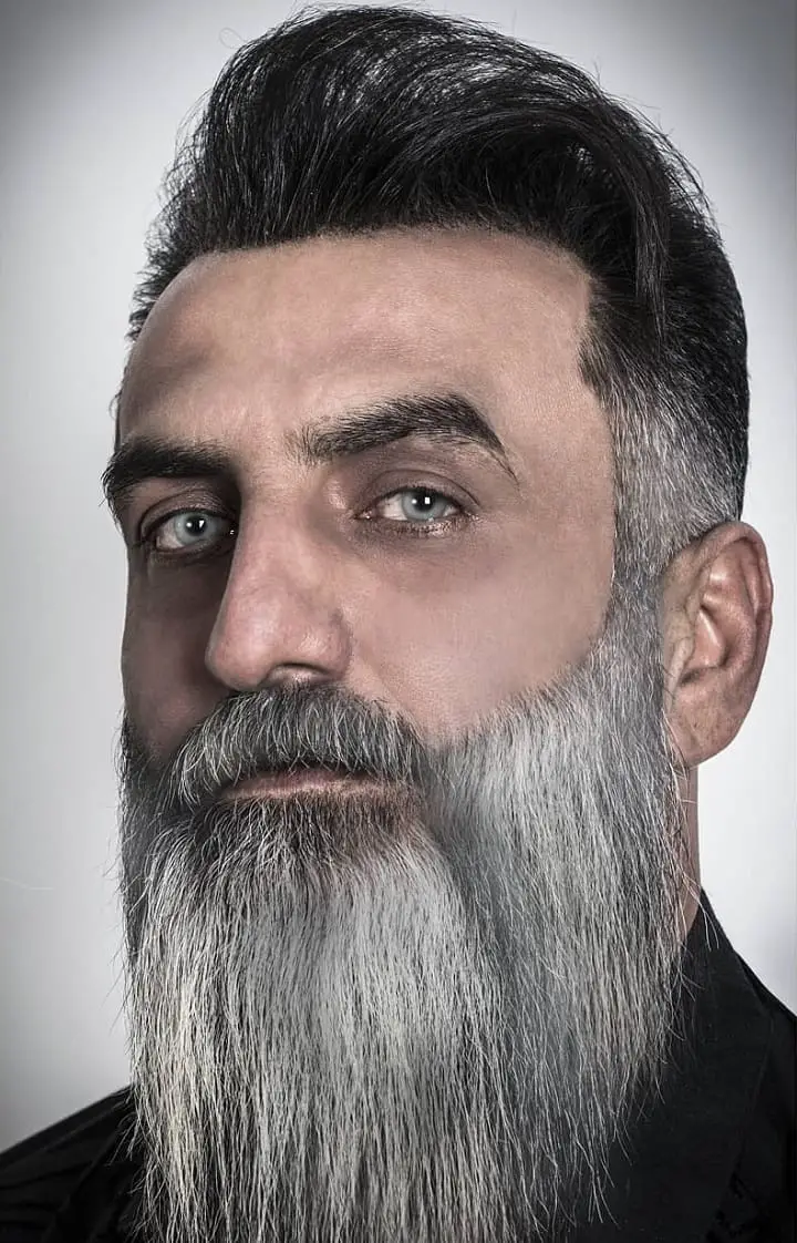 Silver Garibaldi Beard