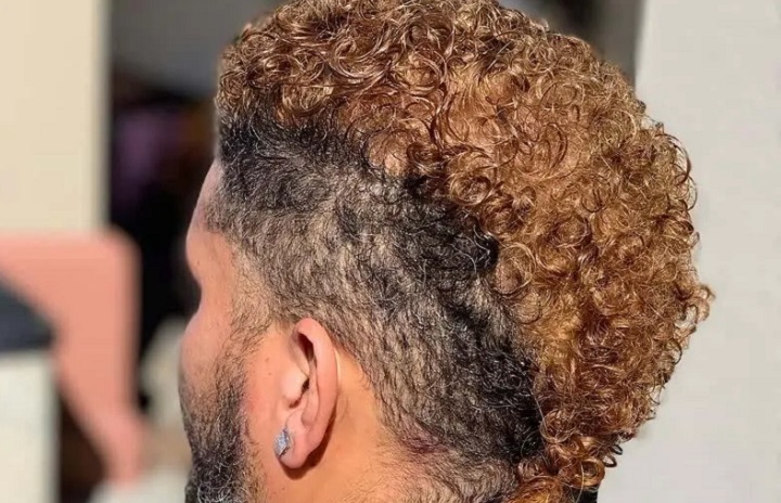 Curly Men's Hairstyle Hair Cuttery Price