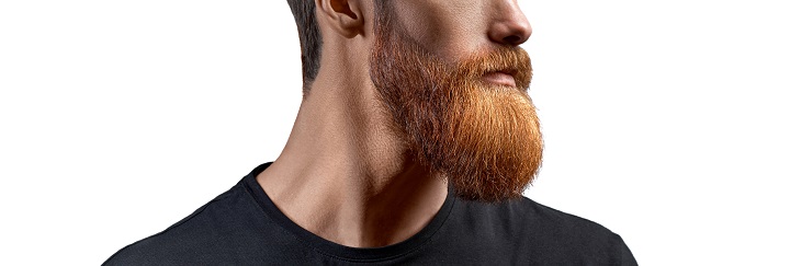 Man With Perfectly Shaped Red Beard