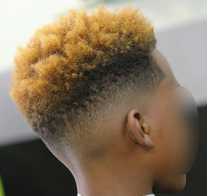 Curved High Top Fade 