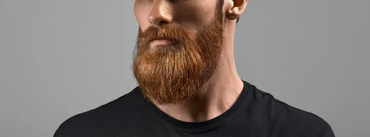 Ginger Long and Full Beard