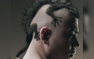 35 Funny Hairstyles: Funniest Haircut Ideas to Try