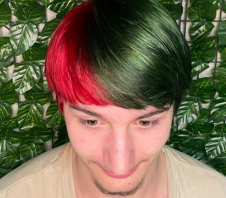 Man With Green and Red Hairstyle