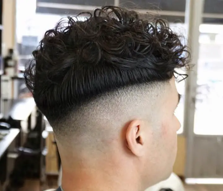 Mushroom Curly Top