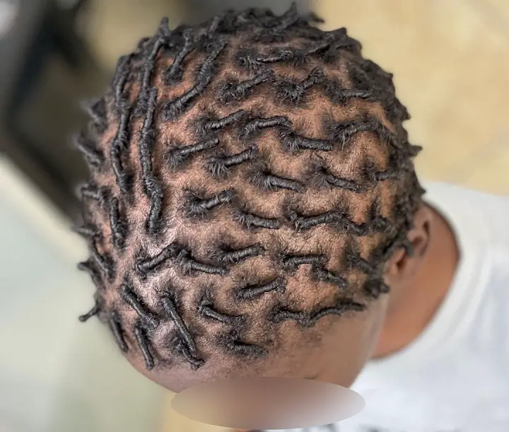 Full Head of Twists mixed boys haircuts