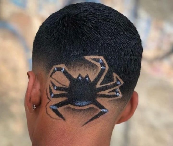 Crazy Spider Hairtattoocrazy haircut ideas
crazy haircut male
crazy haircut men
