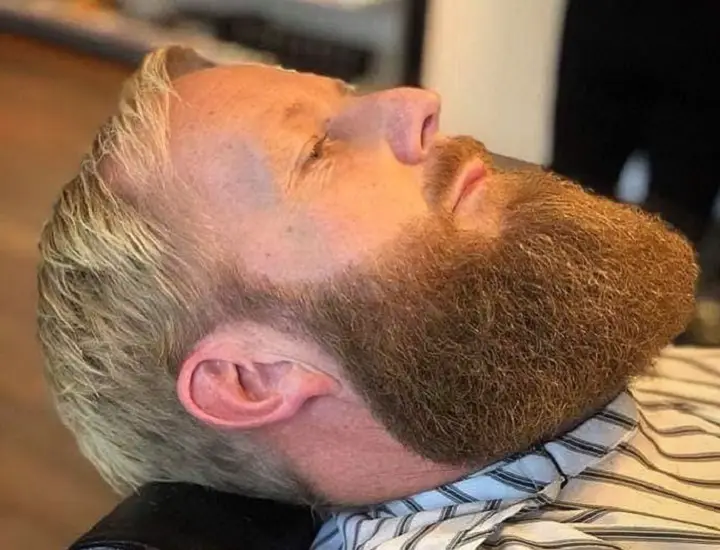 Blond Hair with Brown Beard