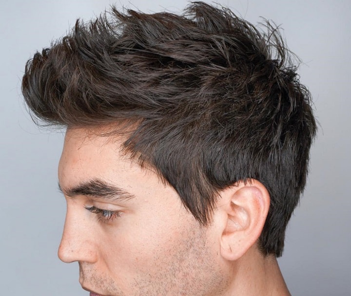 Short Haircut With Brushed Top