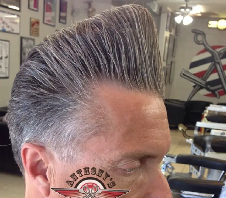 Silver Hair Pompadour Bleached Hairstyles